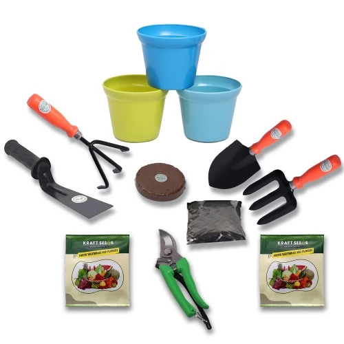 حديقة المنزل